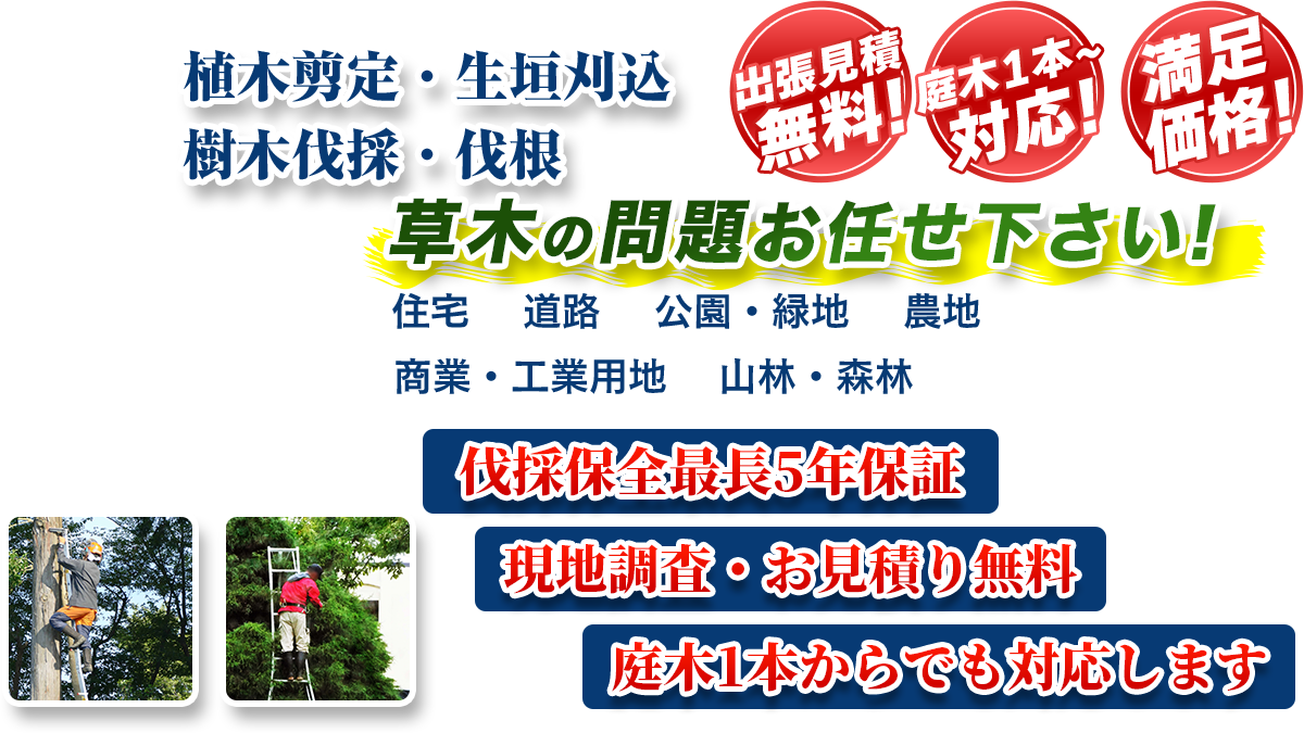 那須塩原市エリア即対応!! 出張無料! 庭木1本~対応! 満足価格! 植木剪定・生垣刈込 樹木伐採・伐根 草木の問題お任せ下さい! 住宅 道路 公園・緑地 農地 商業・工業用他 山林・森林 伐採保全最長5年保証 現地調査・お見積り無料 庭木1本からでも対応します